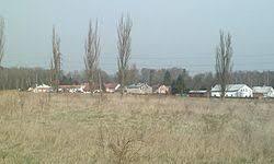 Čankov