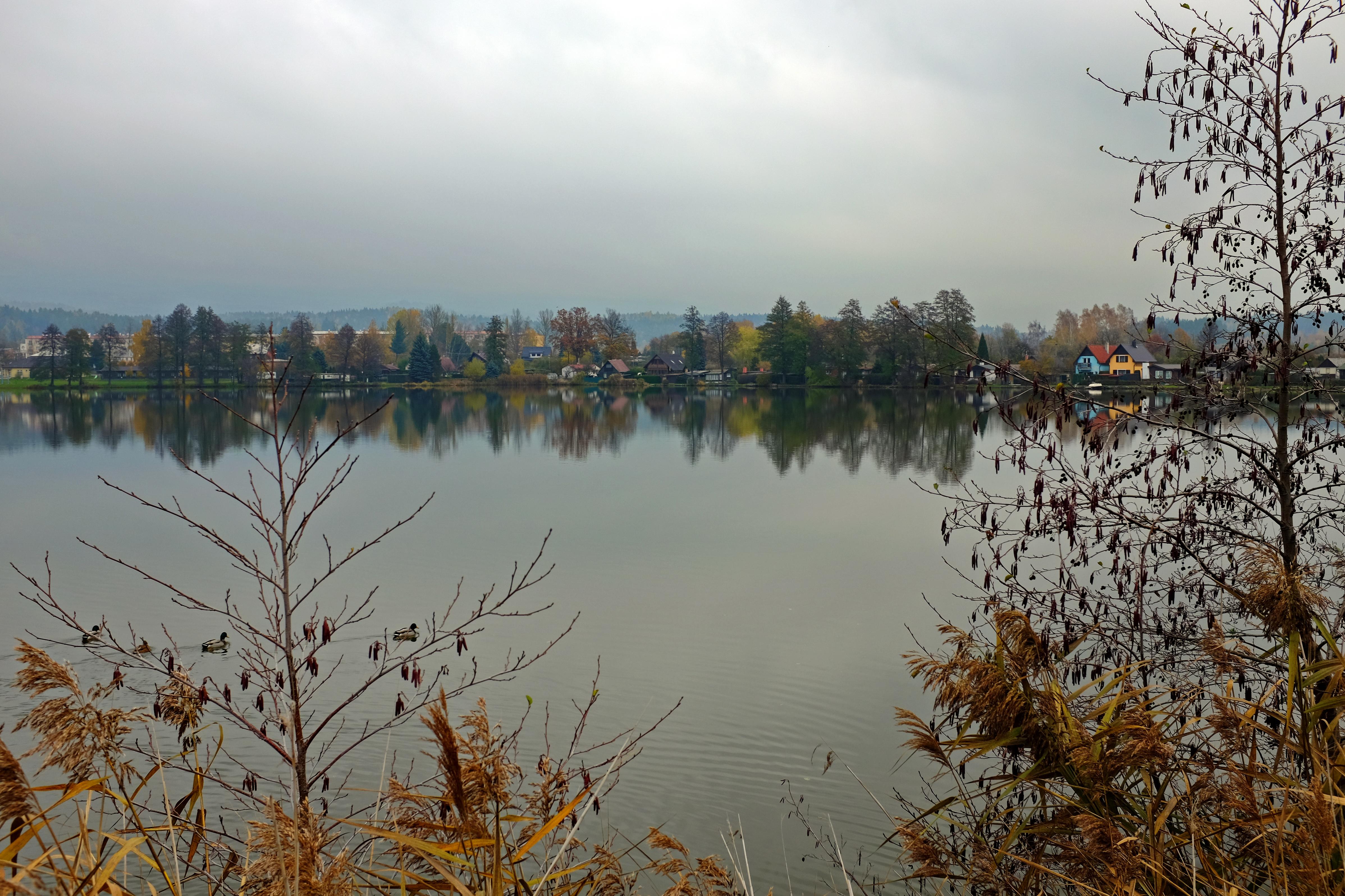 Novorolský rybník